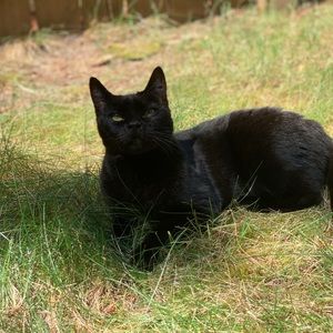 Meet your Posher, Nicole